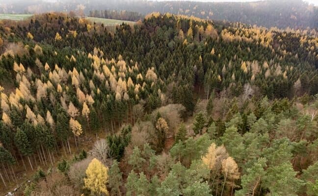 Природні зони: як пояснити без підручника